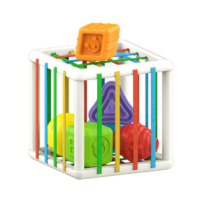 Sensory Block Sorter